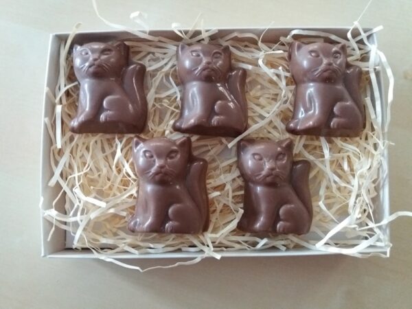 5 Milk Chocolate Cats Gift Box
